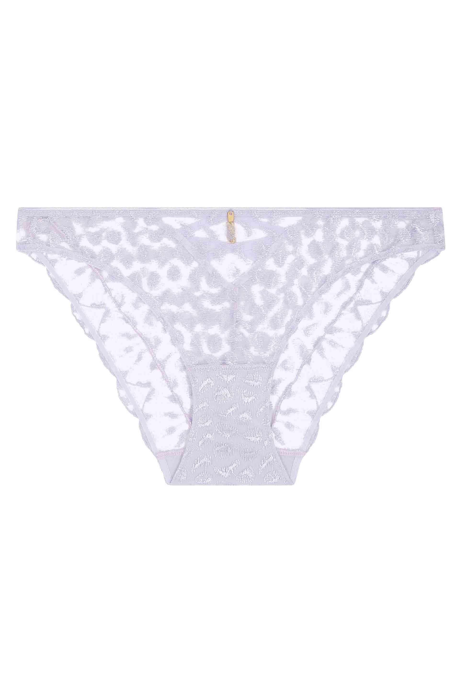 ITALIAN BRIEF - WISTERIA / fs