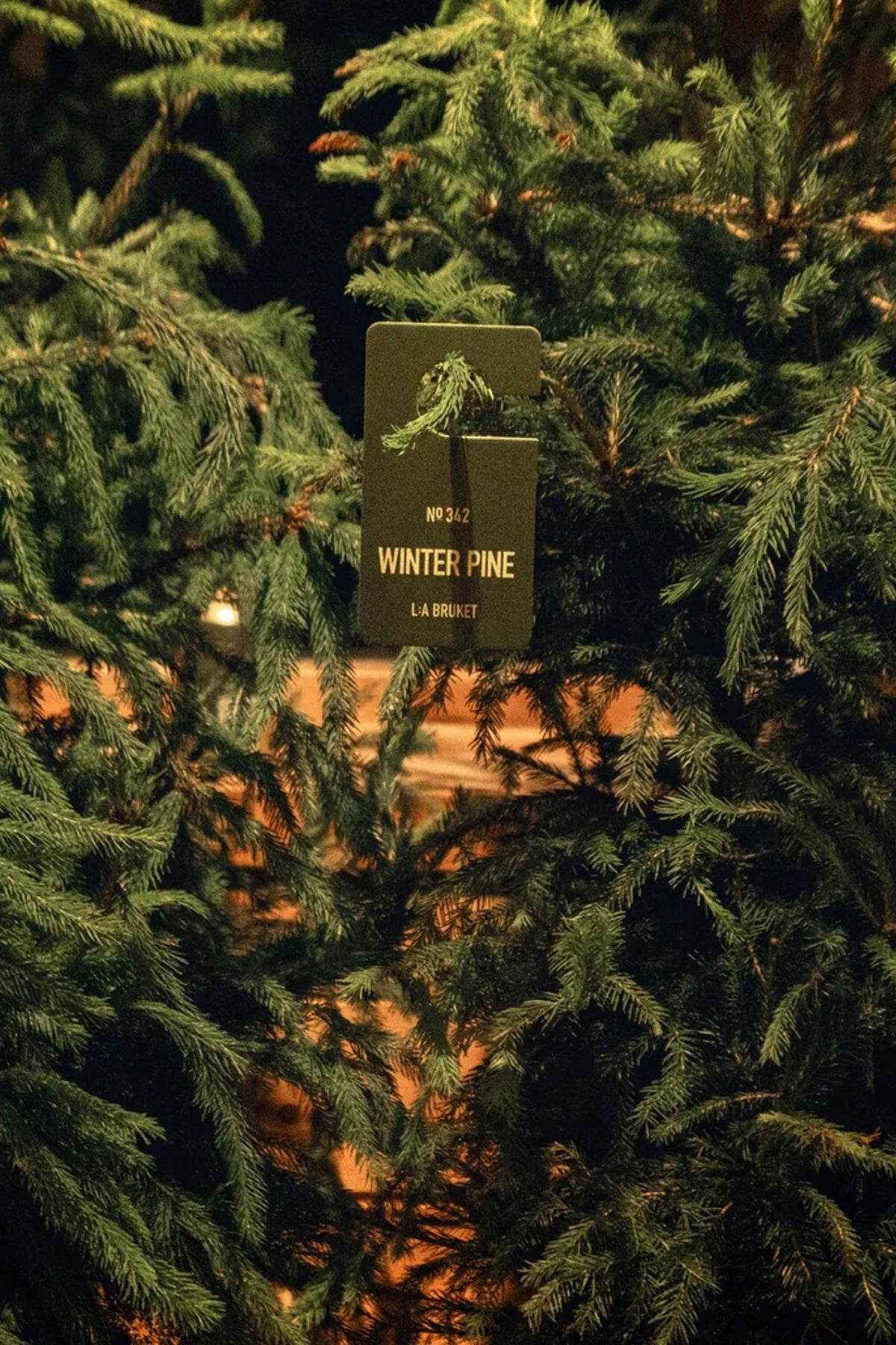 Winter Pine Fragrance Tag