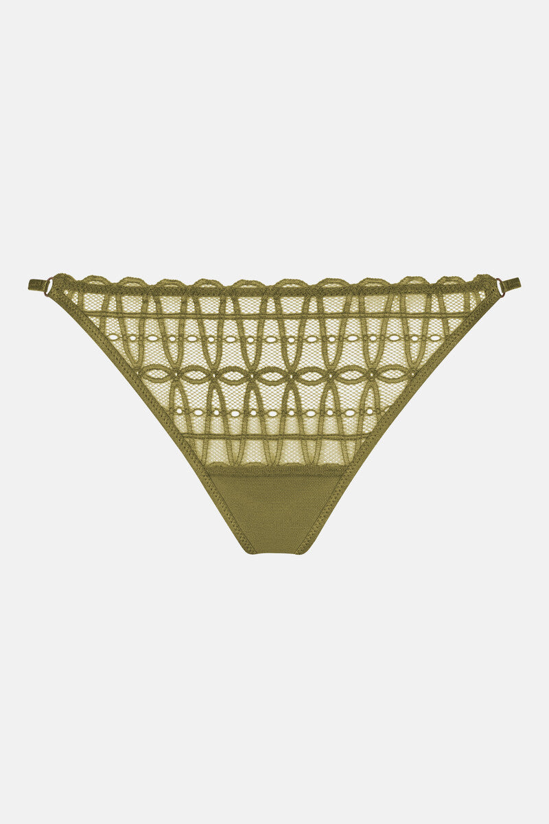 String - golden fern