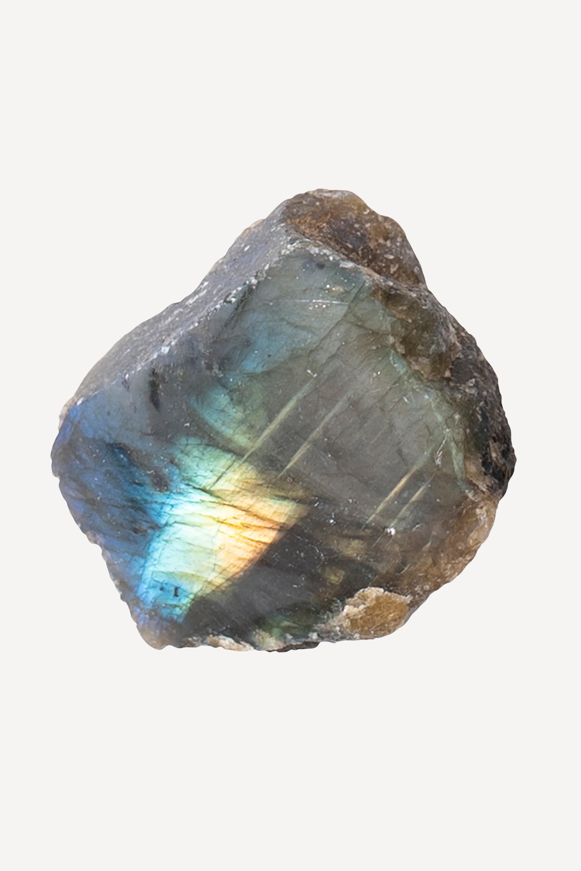 Wanting Labradorite Bracelet SC - labradorite